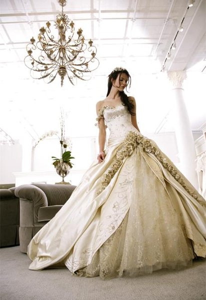ball gown wedding dresses with straps Videos BEAUTIFUL BALL GOWN