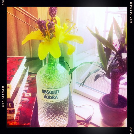 Absolut Lavender Absolut Lavender